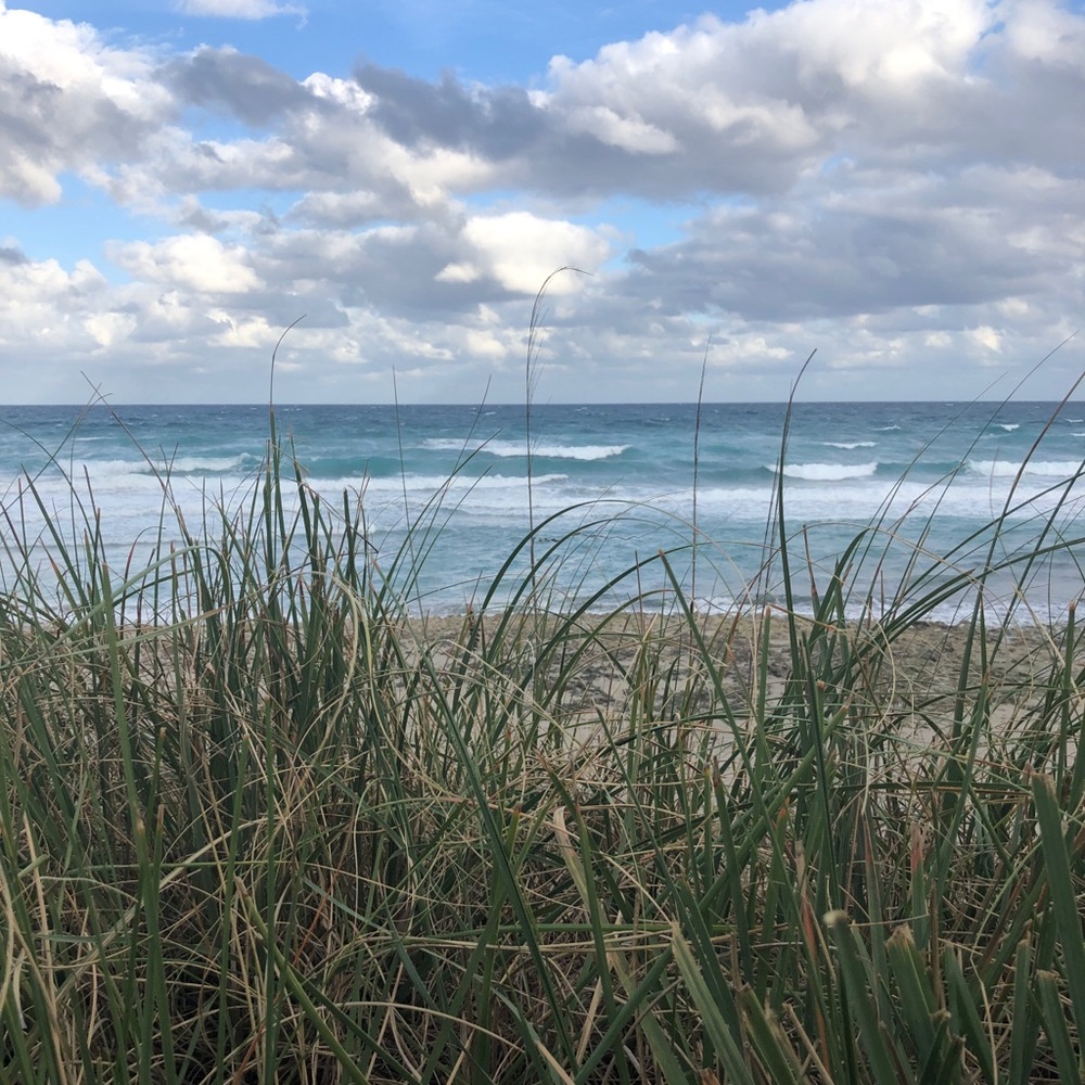 Meet your Posher, Brad